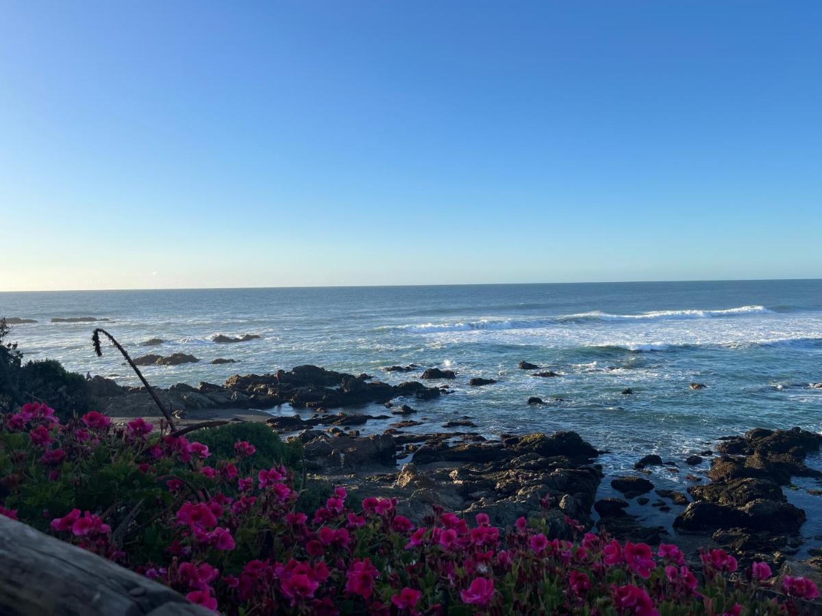 Inigualable Vista Frente Al Mar Apartamento Pichilemu